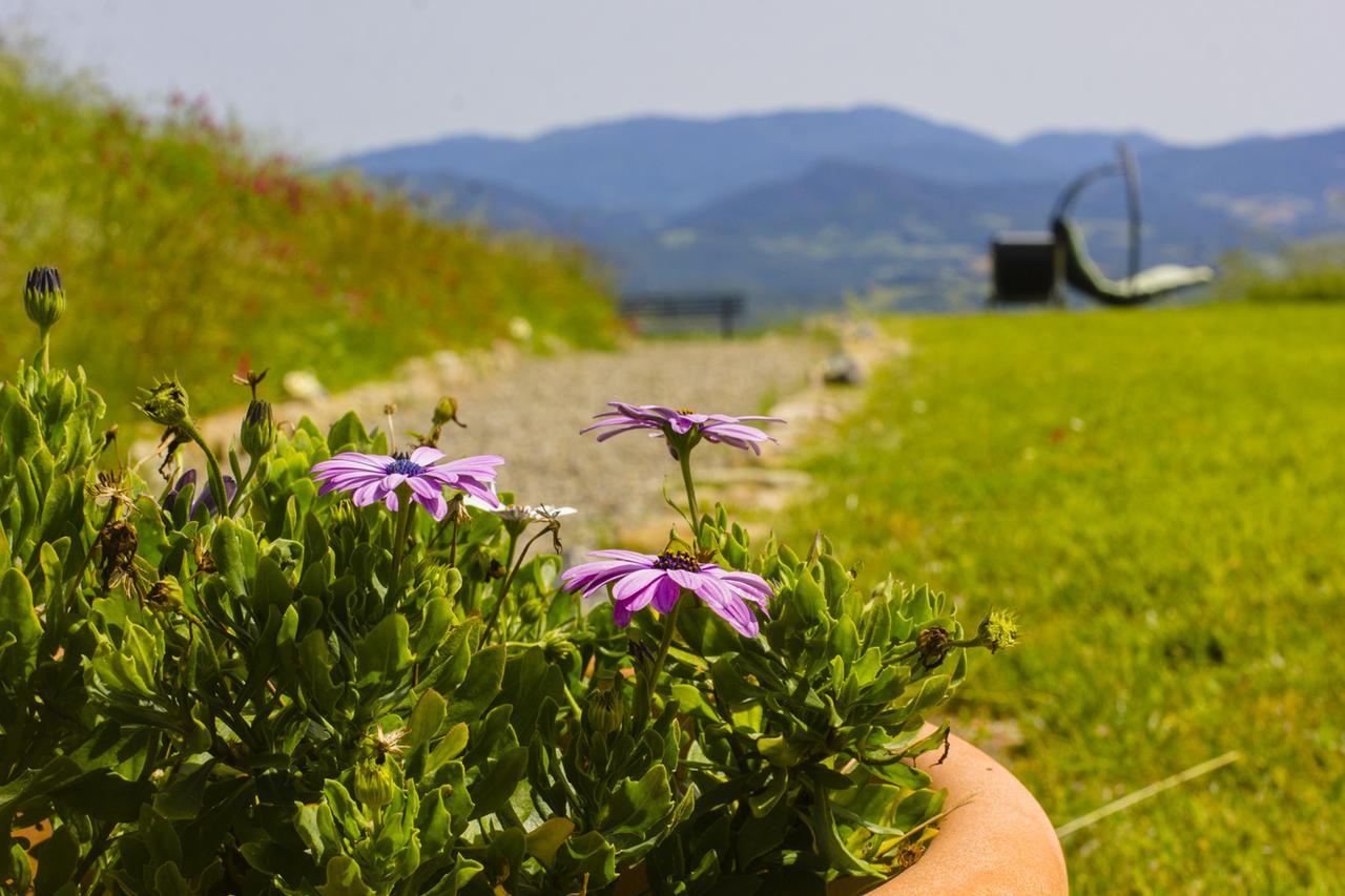 In Canto Sul Poggio Bed and Breakfast Βολτέρρα Εξωτερικό φωτογραφία